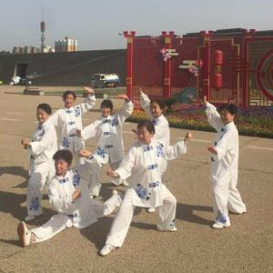 ̫ȭѧվӱݰ˷岽2020ӭȫˡ ...