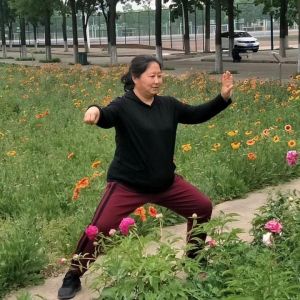 ݳʽ̫ȭʮʽ2020ӭȫˡƵ