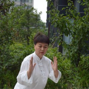 ȱݴͳ̫ȭ2020ӭȫˡƵ