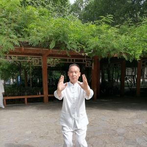 ӹαݴͳ̫ȭ2020ӭȫˡƵ