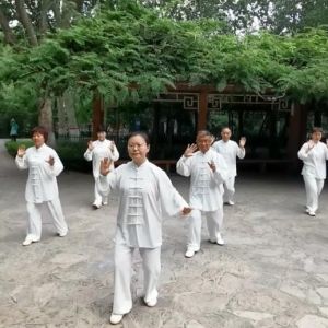 ѧоݴͳ̫ȭ2020ӭȫˡƵ