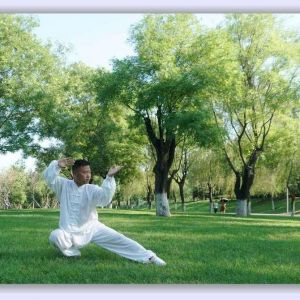 ±ݳʽ̫ȭ83ʽ2020ӭȫˡƵ