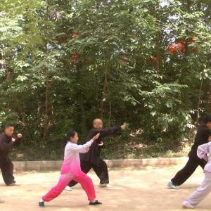 ԳͨЭᡪ2020ӭȫˡƵ