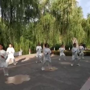 ̫ȭƹĶӡ2020ӭȫˡƵ