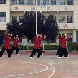 ɽǣ꣩ʽ̫ȭƹվ2020ӭȫˡƵ