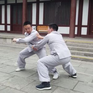 ɱݷȭ˫Խӡ2020ӭȫˡƵ