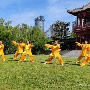 Եڼȭ칬ֻӳʽС̫ȭ2020ӭȫˡƵ