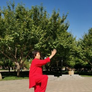 ѩޱʽ̫ȭ28ʽ2020ӭȫˡƵ