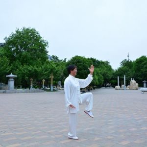 ±ʽ̫ȭ28ʽ2020ӭȫˡƵ