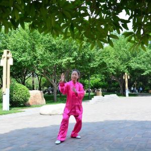 ش䷼ʽ̫ȭ28ʽ2020ӭȫˡƵ