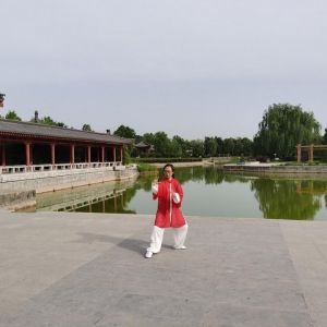 ֣Өʽ̫ȭ28ʽ2020ӭȫˡƵ