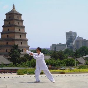 Ǳʽ̫ȭ28ʽ2020ӭȫˡƵ