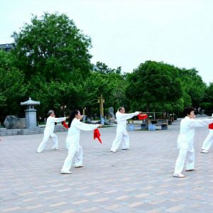 ʽ̫ȭѧᡪ2020ӭȫˡƵ