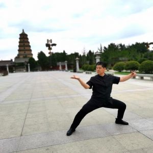 ʤݳʽ̫ȭ2020ӭȫˡƵ