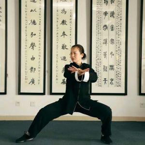 ݳʽ̫ȭ2020ӭȫˡƵ