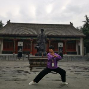 ݳʽ̫ȭ2020ӭȫˡƵ