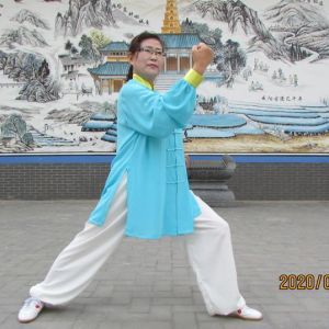 ƽʽ̫ȭ2020ӭȫˡƵ