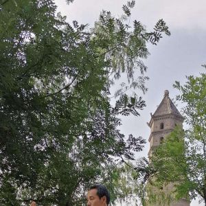 ݳʽ̫ȭ2020ӭȫˡƵ