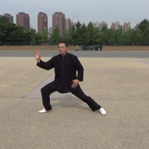 糤Ա̫ȭ2020ӭȫˡƵ