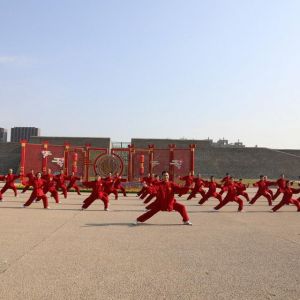 ֵ̫ݱԱ̫ȭ2020ӭȫˡƵ