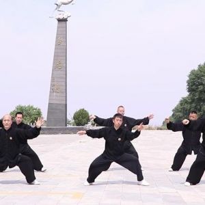 ̫ȭֻ3-12020ӭȫˡƵ