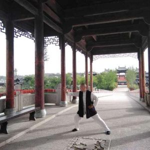 ݳʽ̫ȭСܡ2020ӭȫˡƵ