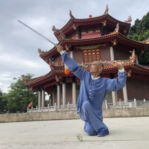 ̸ݳʽ̫ͳ2020ӭȫˡƵ