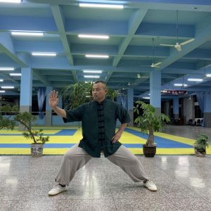 ݳʽ̫ȭϼһ·2020ӭȫˡƵ