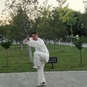 Ԭݳʽ̫ȭ2020ӭȫˡƵ