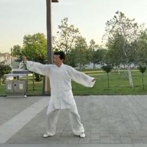 Ʊݳʽ̫ȭ2020ӭȫˡƵ