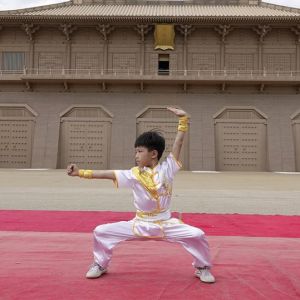 꿱ݳȭ·2020ӭȫˡƵ