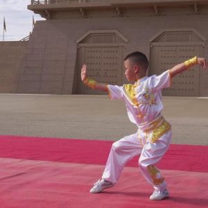 ݳȭ·2020ӭȫˡƵ