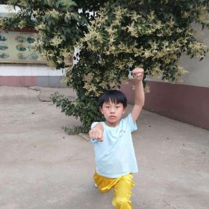 μȭʮʽ2020ӭȫˡƵ