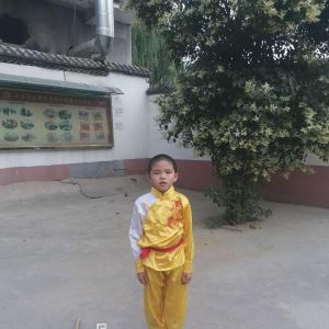 ƽZȭʮʽ2020ӭȫˡƵ