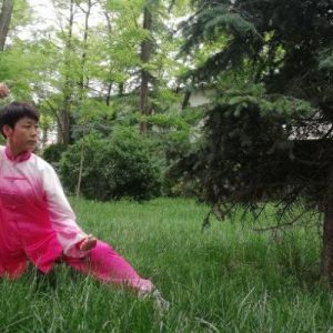 Żʽ̫ȭ&#160;2020ӭȫˡƵ