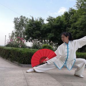 Žй̫ȡ2020ӭȫˡƵ