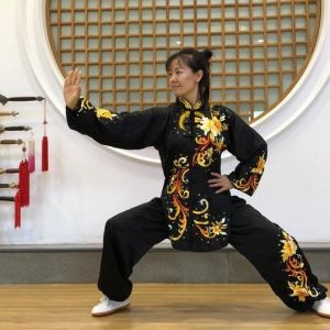 ݳʽ̫ȭ2020ӭȫˡƵ