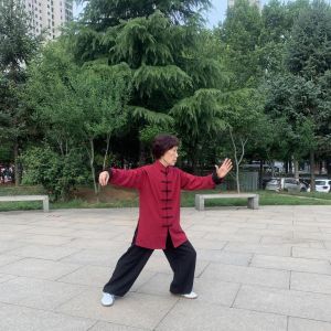 ˾ʽ̫ȭ37ʽ2020ӭȫˡƵ