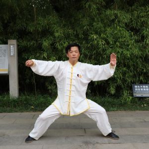 ڳ˳ʽ̫ȭͳСܡ2020ӭȫˡƵ