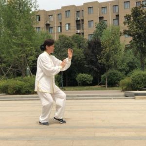 淳ʽ̫ȭͳСܡ2020ӭȫˡƵ