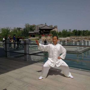 ݳʽ̫ȭ2020ӭȫˡƵ