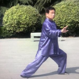 ־ǿ̫ȭ2020ӭȫˡƵ