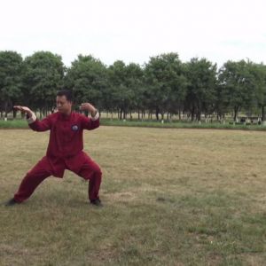 αݳʽ̫ȭ2020ӭȫˡƵ