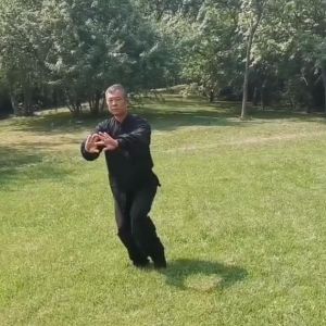 ݳʽ̫ȭ2020ӭȫˡƵ