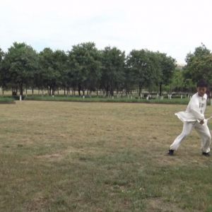 꿱ݳʽ̫ȭ2020ӭȫˡƵ