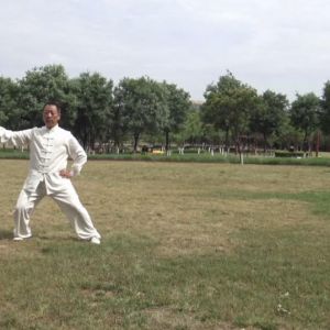 ½ݳʽ̫ȭ2020ӭȫˡƵ