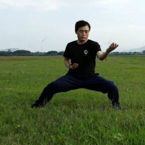 Ʊݳʽ̫ȭ2020ӭȫˡƵ