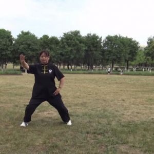 ռݳʽ̫ȭ2020ӭȫˡƵ