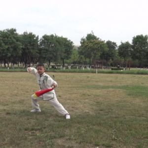 ݳʽ̫ȭ2020ӭȫˡƵ