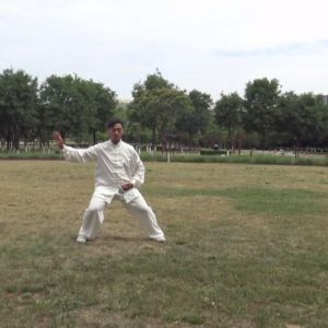 ְ·ݳʽ̫ȭ2020ӭȫˡƵ